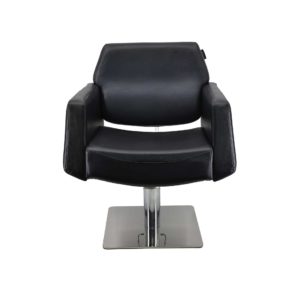 Hair Salon Chair 216