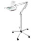 Lamp With Magnifying Lens