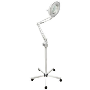 Lamp with Magnifying Dual Lens