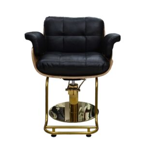 Hair Salon Chair J2331