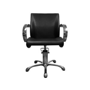Hair Salon Chair B-25