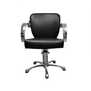 Hair Salon Chair 2049