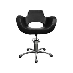 Hair Salon Chair B-12
