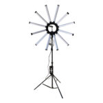 image starlight black 1 WS