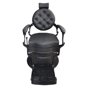 IMAGE 5258H 127 WS 1 upscaled