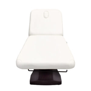 image electric bed with heating 2238 5 ws